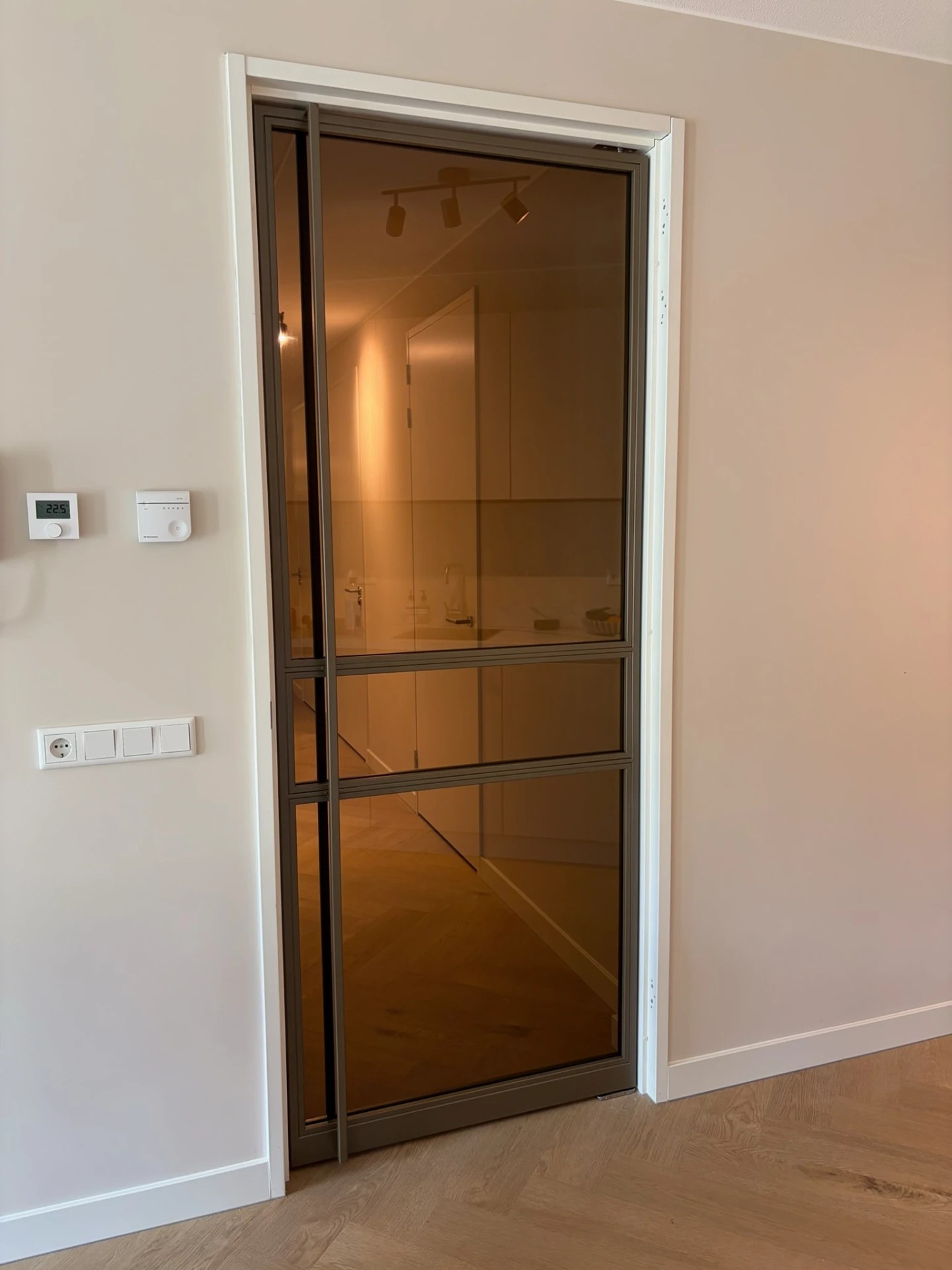 Taatsdeur Anodic Bronze met brons glas