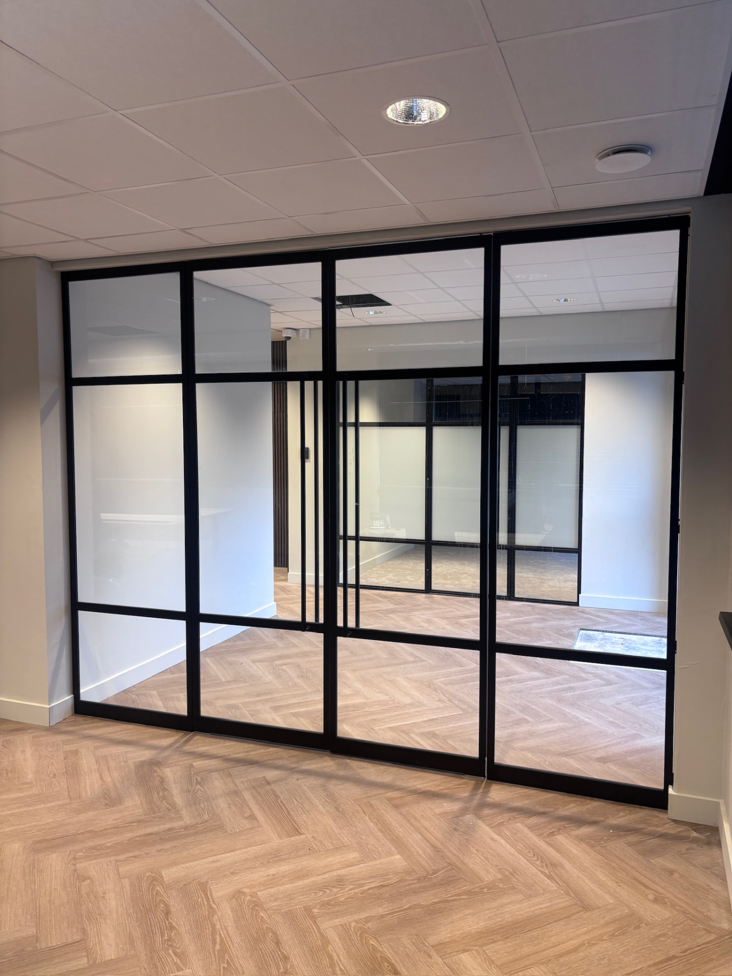 Dubbele taatsdeur met zijlichten Eindhoven — beeld 1